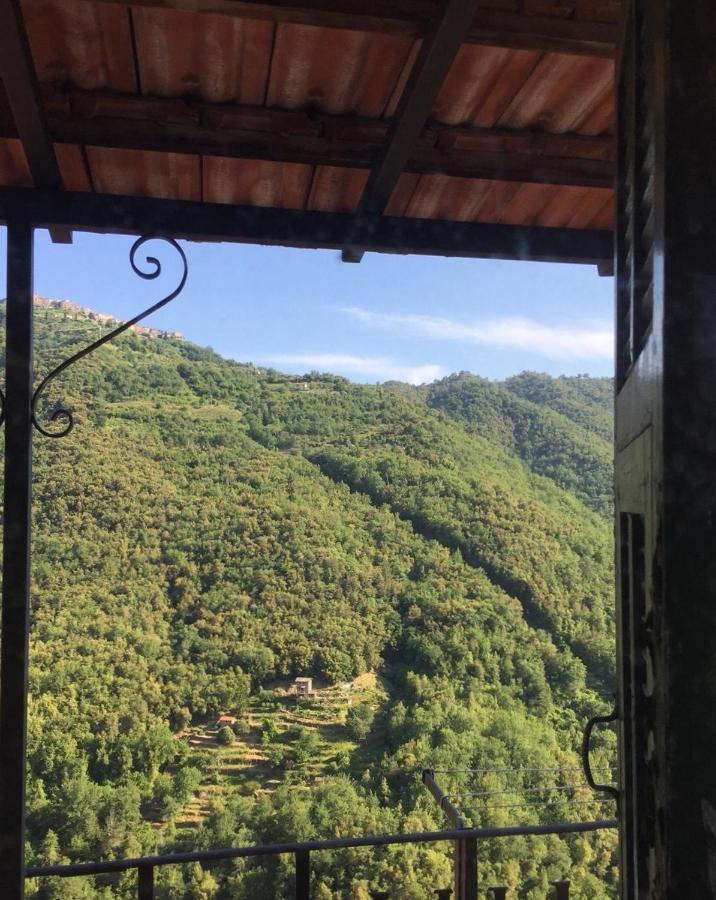 House In The Medieval Village Apricale Exterior foto